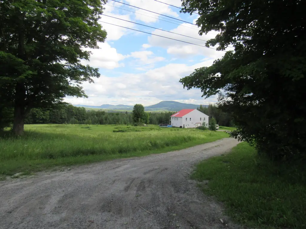 Picture 37