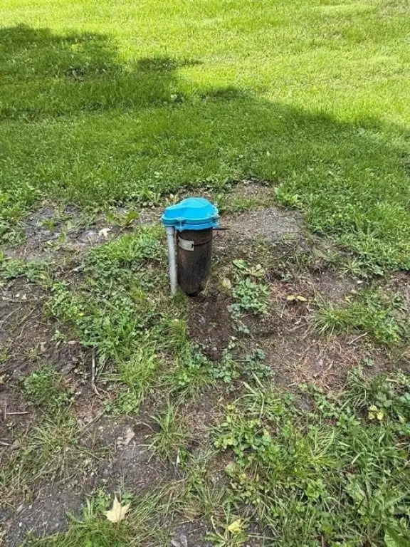 Picture 42