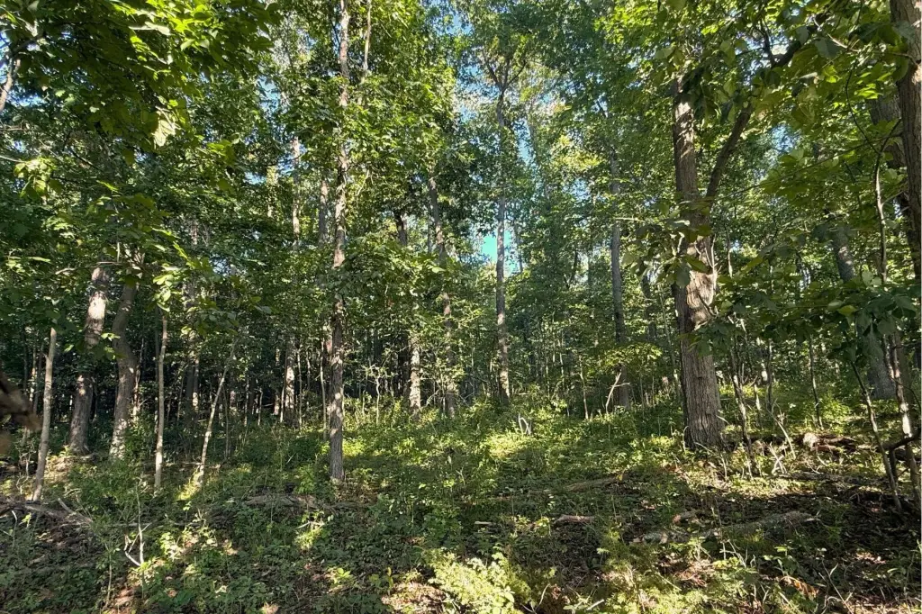 Picture 17