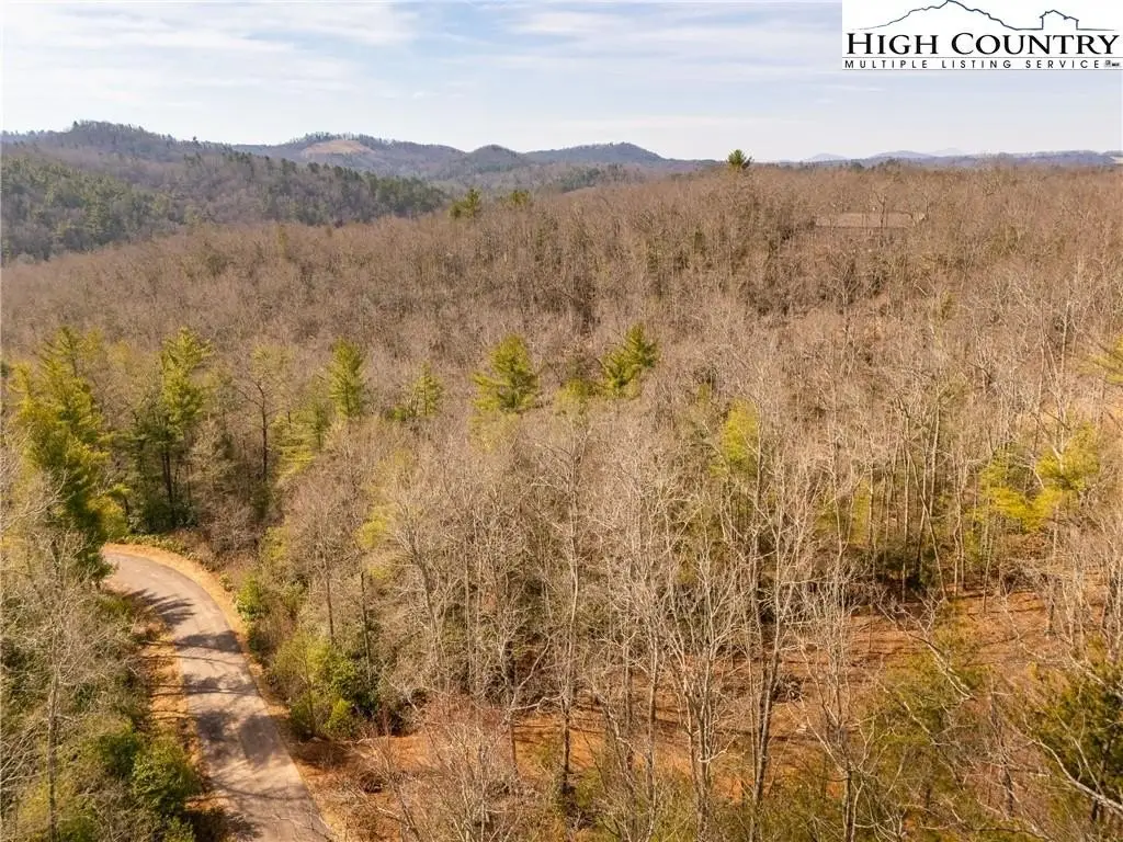 Picture 45
