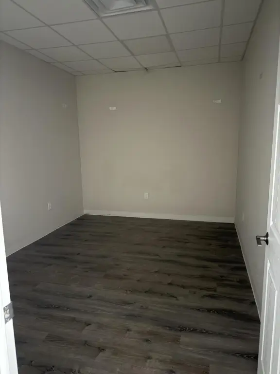 Picture 5