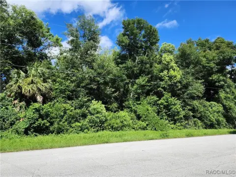 Citrus Springs Vacant Land Parcel