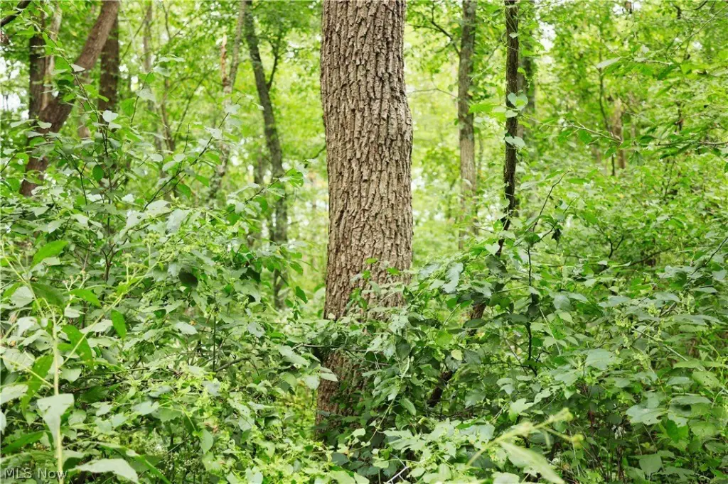 Picture 41