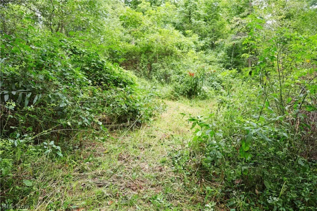 Picture 9
