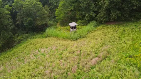 Hunting Land