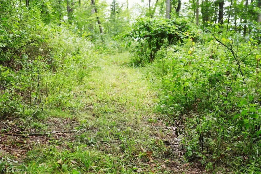 Picture 22