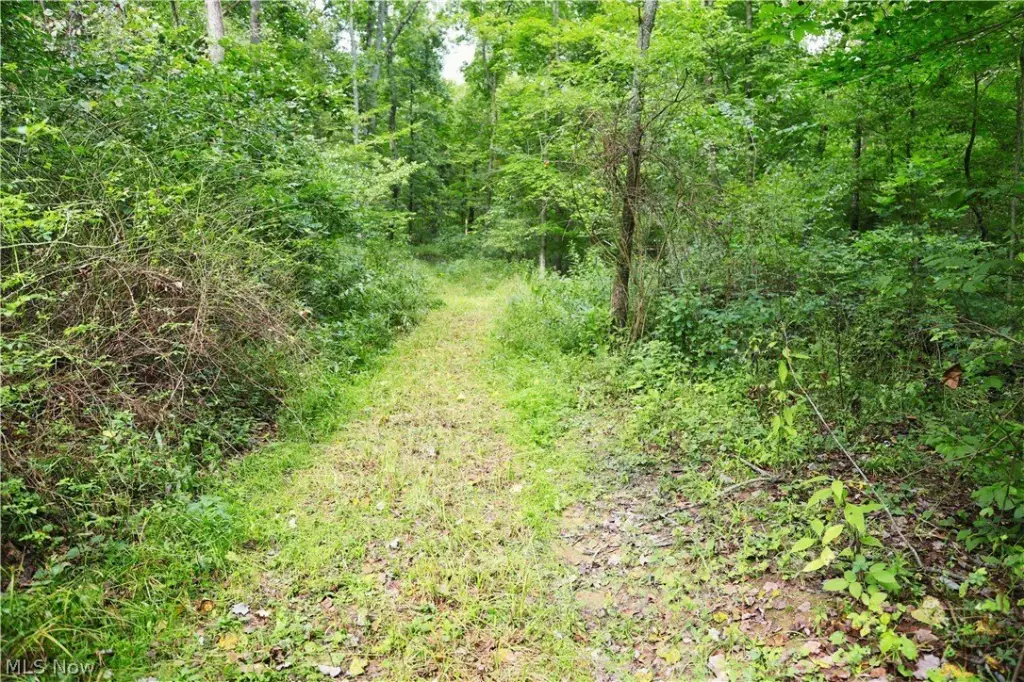 Picture 10