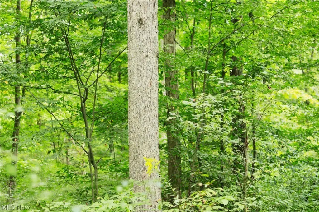 Picture 21