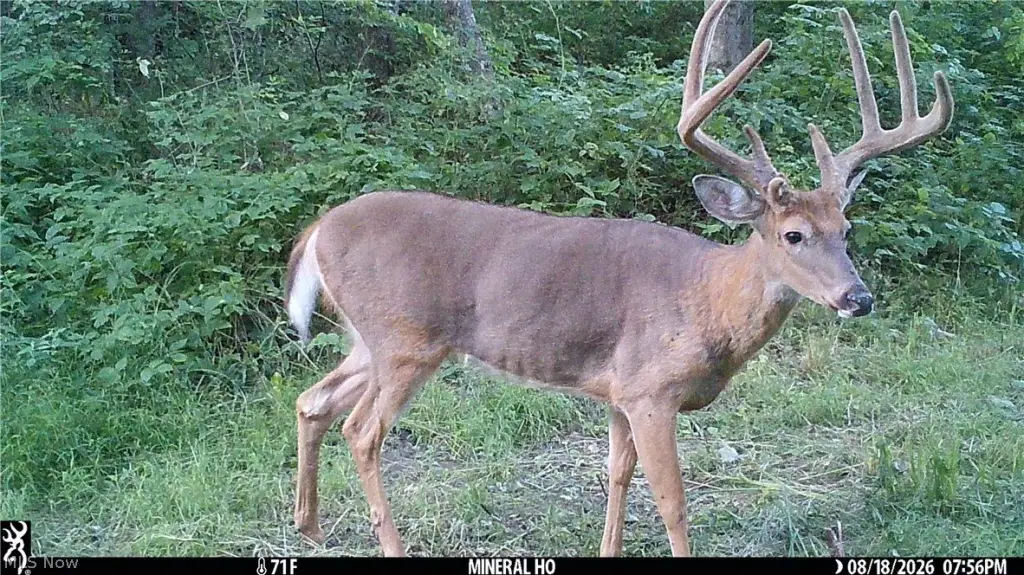 Picture 3