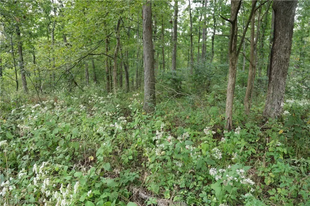 Picture 15