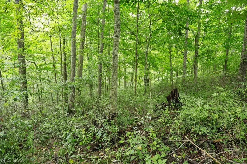 Picture 43