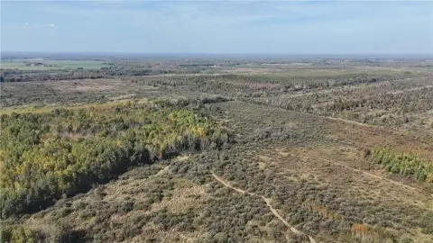 80 Acres Prime Hunting Land