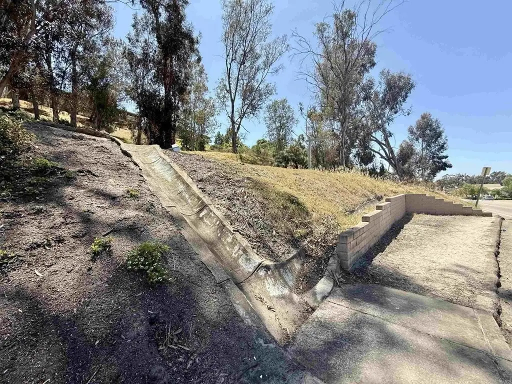 Picture 19