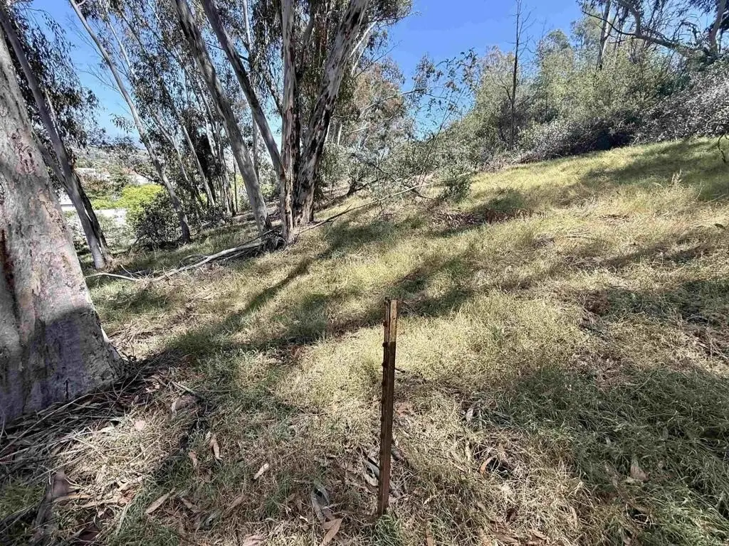 Picture 23