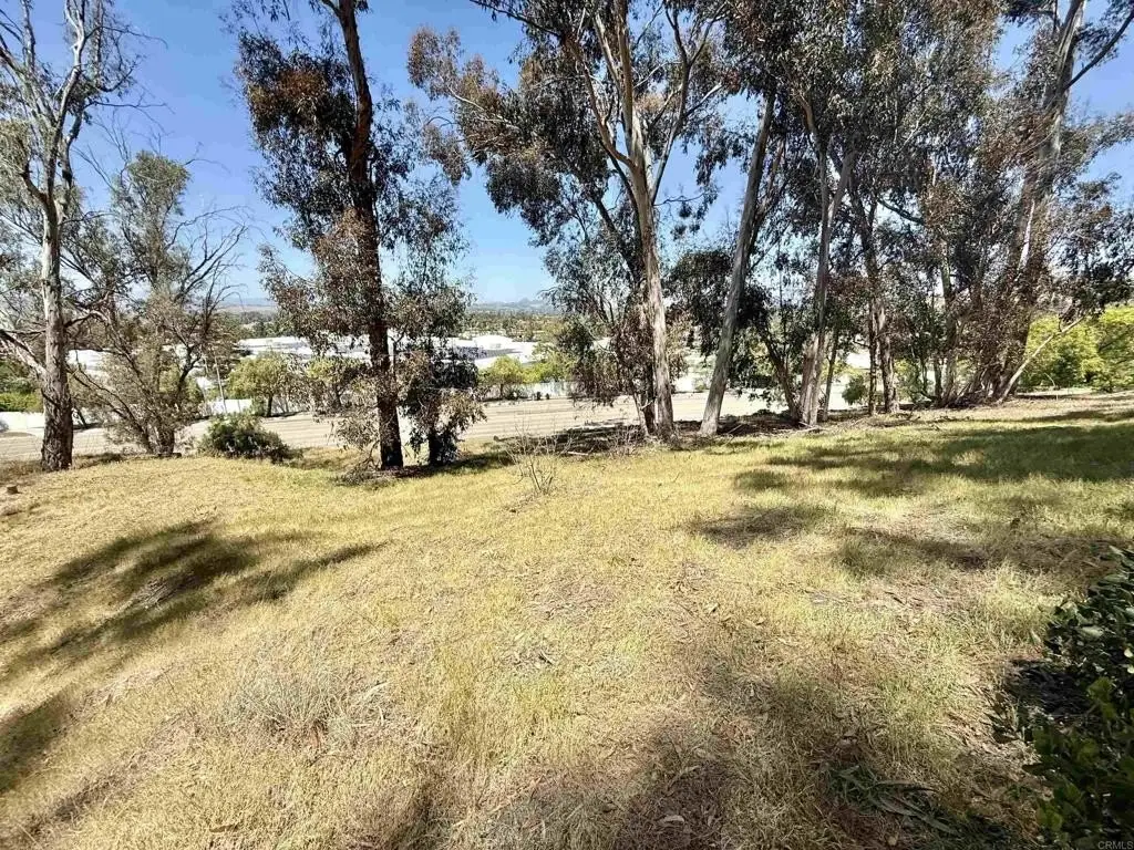 Picture 22