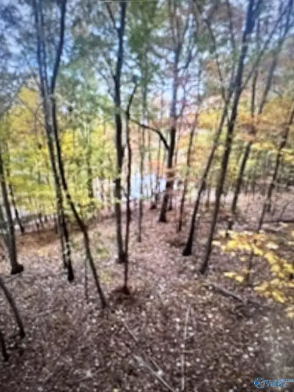 Picture 12