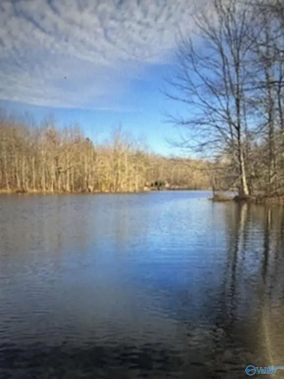 Picture 16