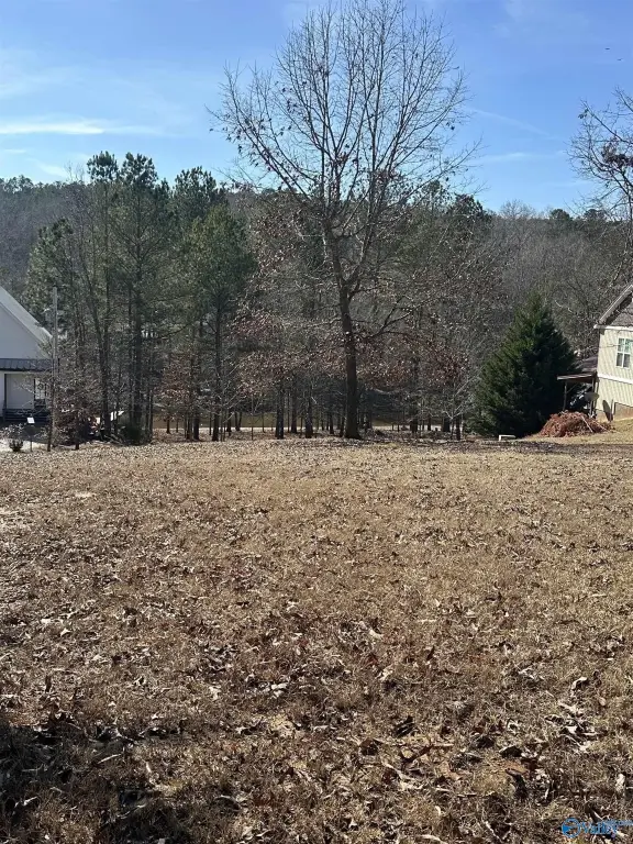 Picture 16