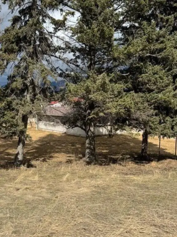 Picture 5