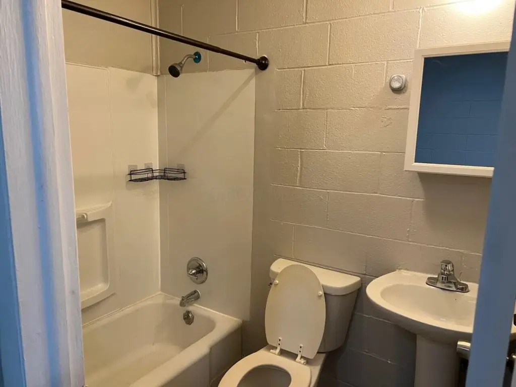 Picture 5