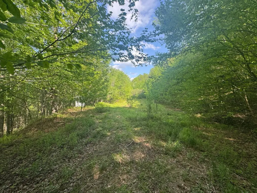 Picture 31