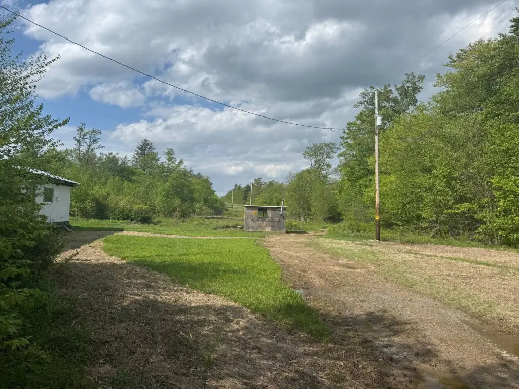 Picture 6