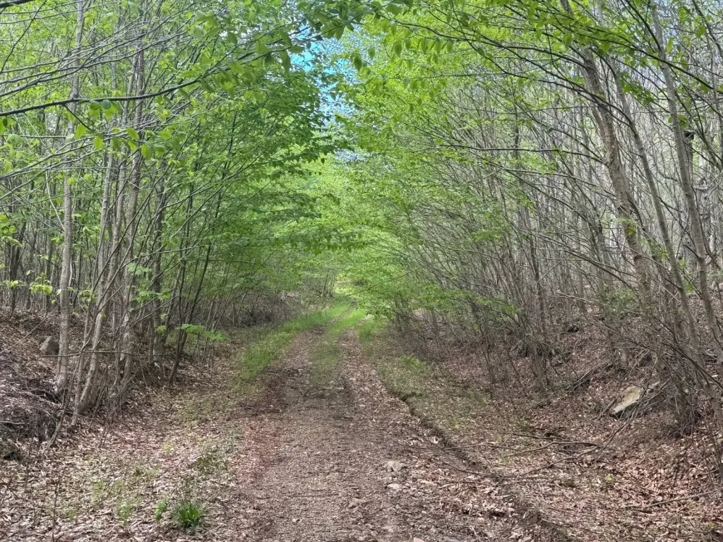 Picture 18