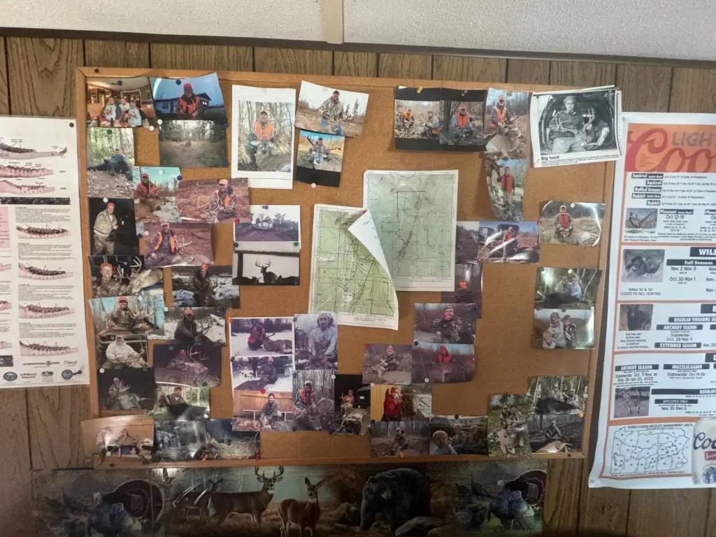 Picture 12