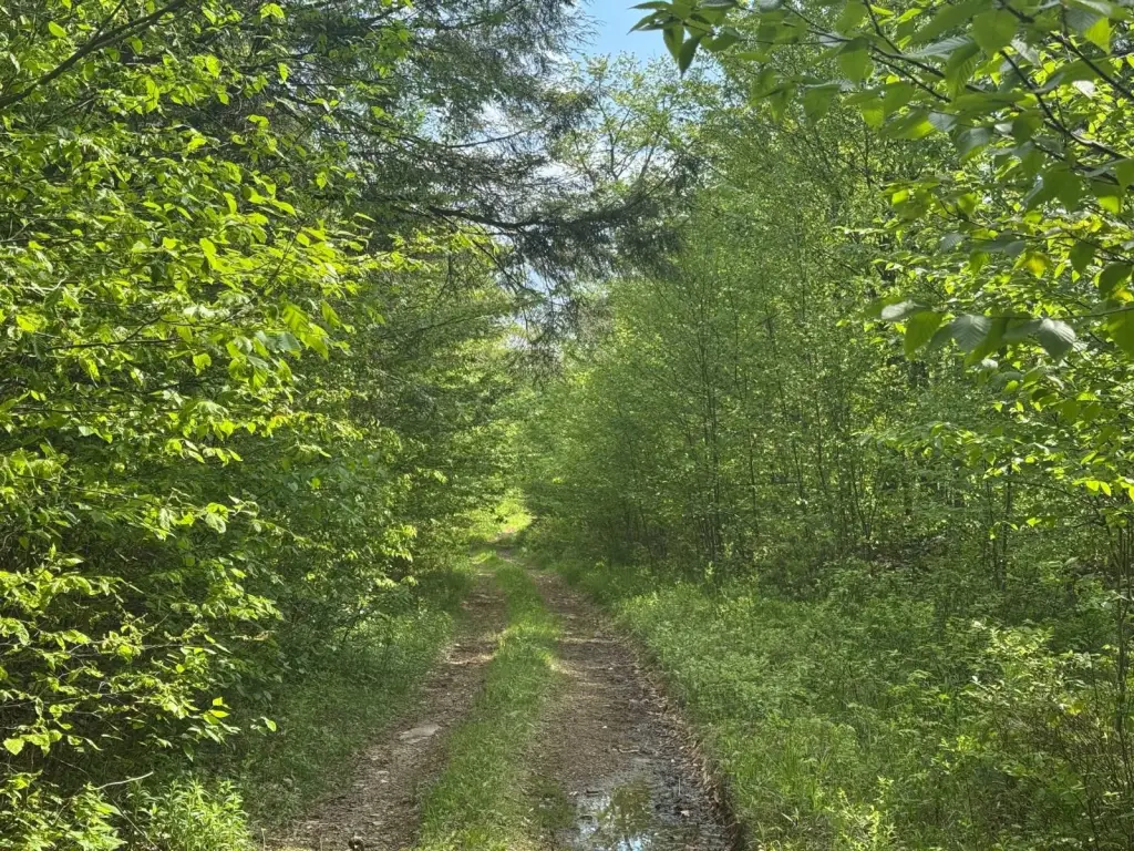 Picture 15