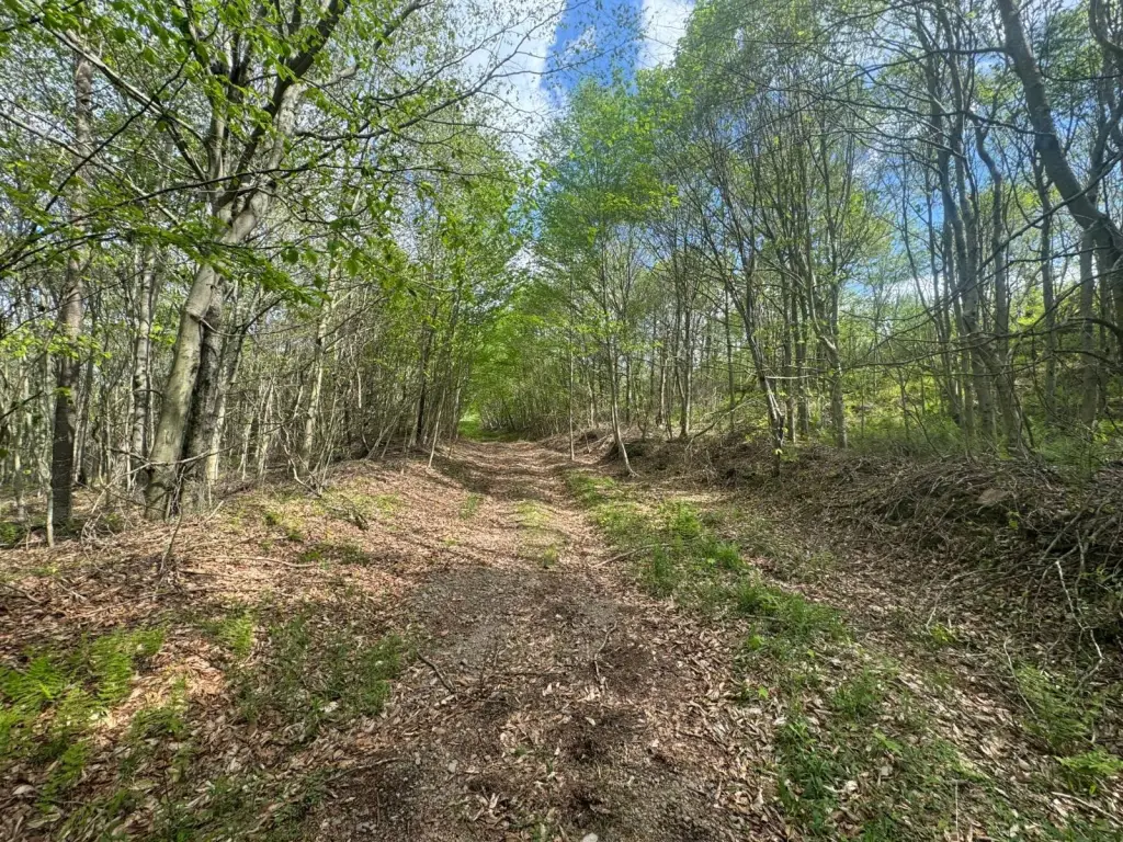 Picture 22