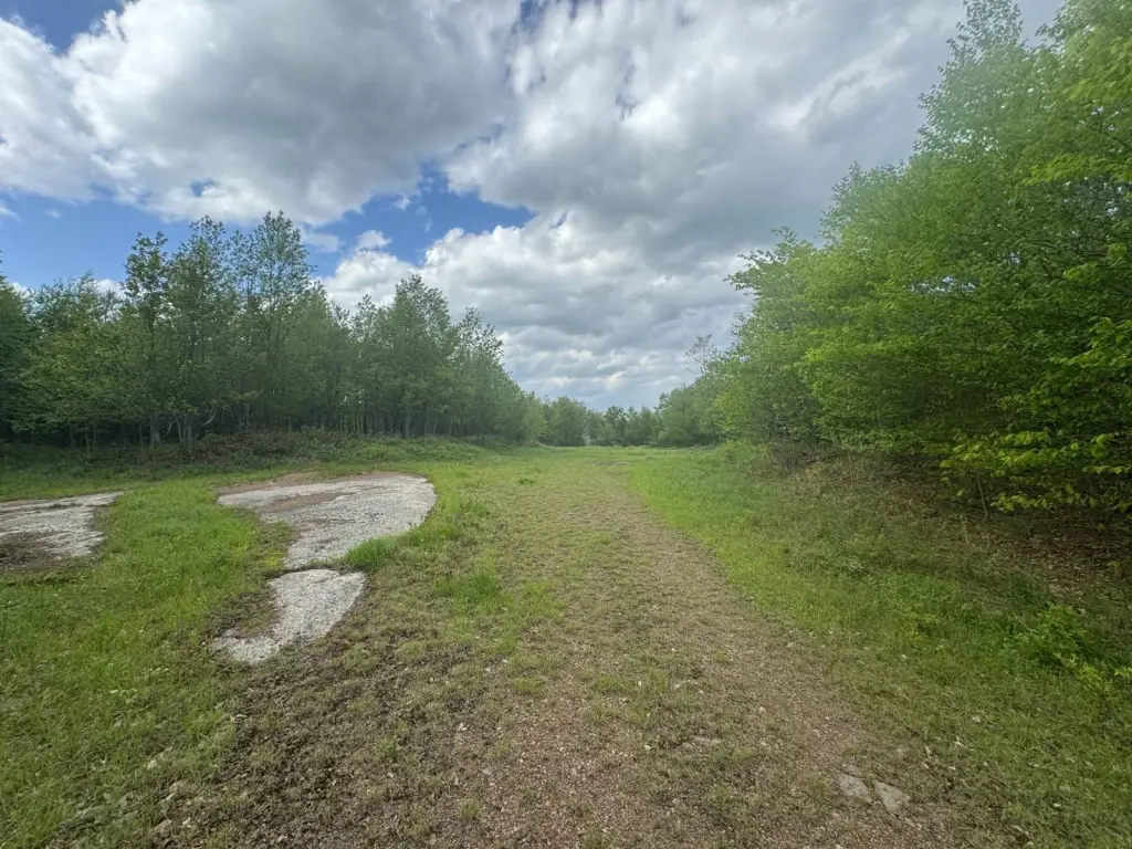 Picture 21