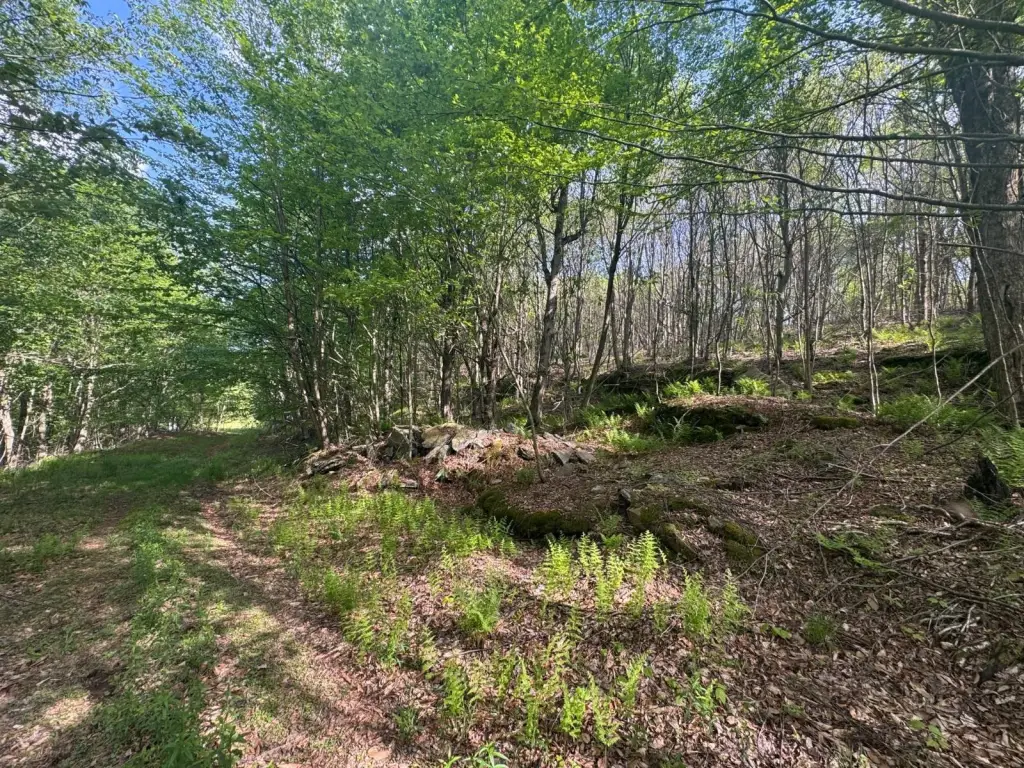 Picture 30