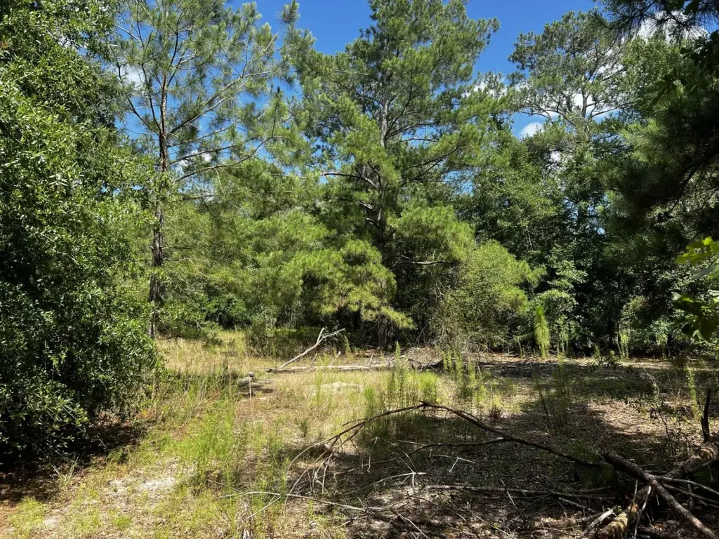 Picture 18