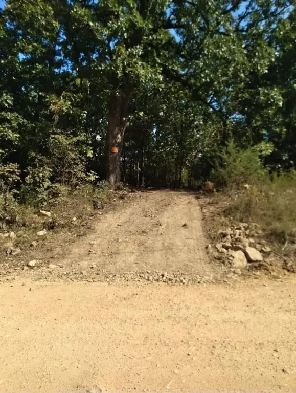 Picture 12