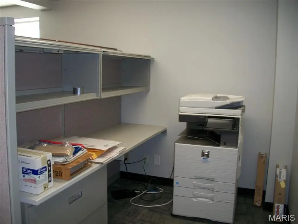 Picture 10