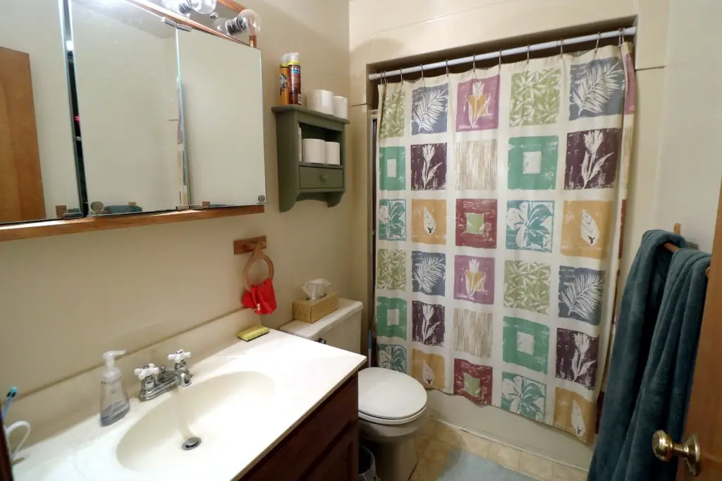 Picture 6