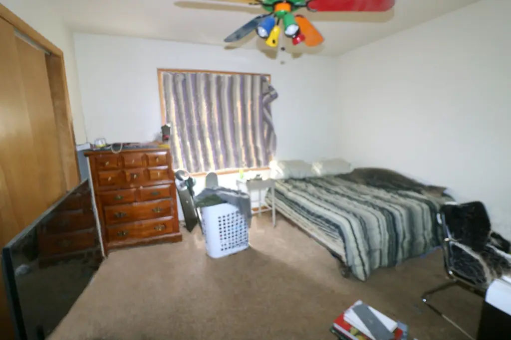 Picture 7