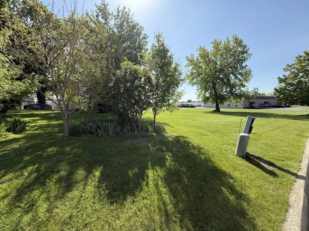 Picture 19