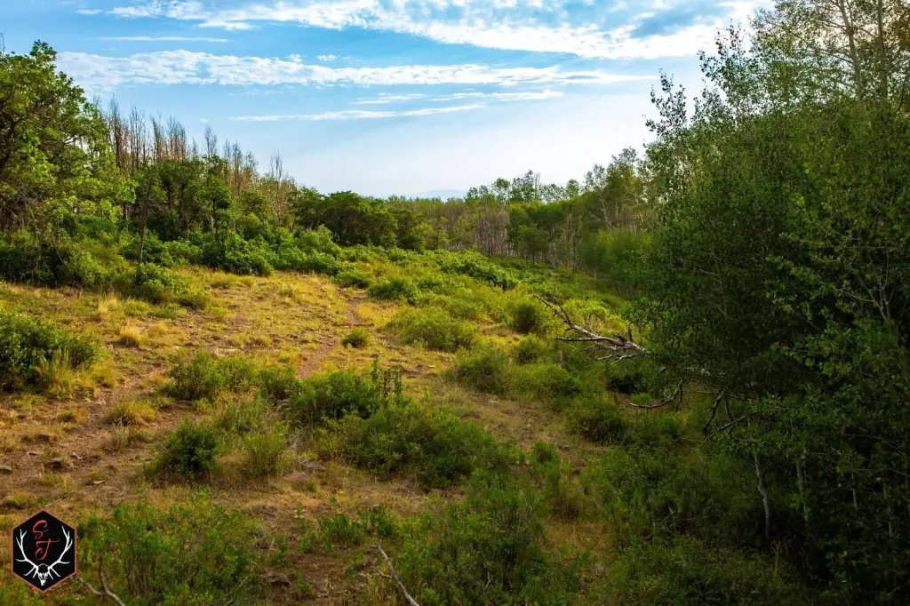 Picture 16