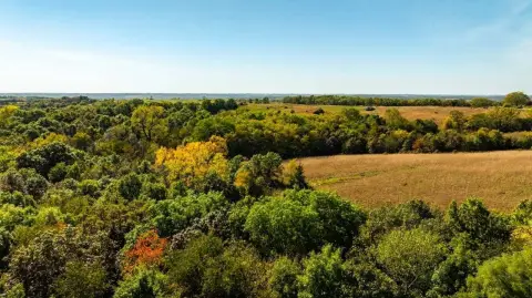 Hunting Land with CRP