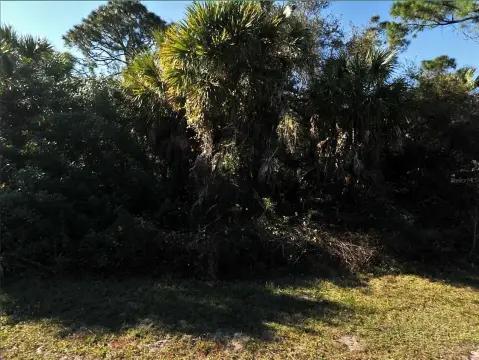 Residential Lot in North Port