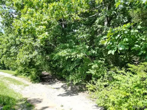 Residential Land in Festus, MO