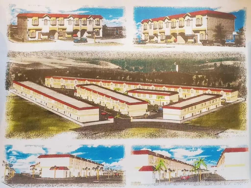 Picture 6