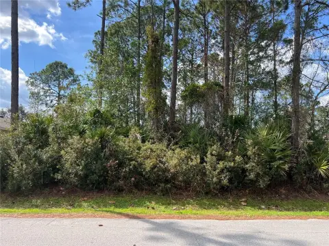 Residential Lot in Palm Coast