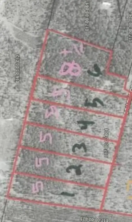 Picture 4