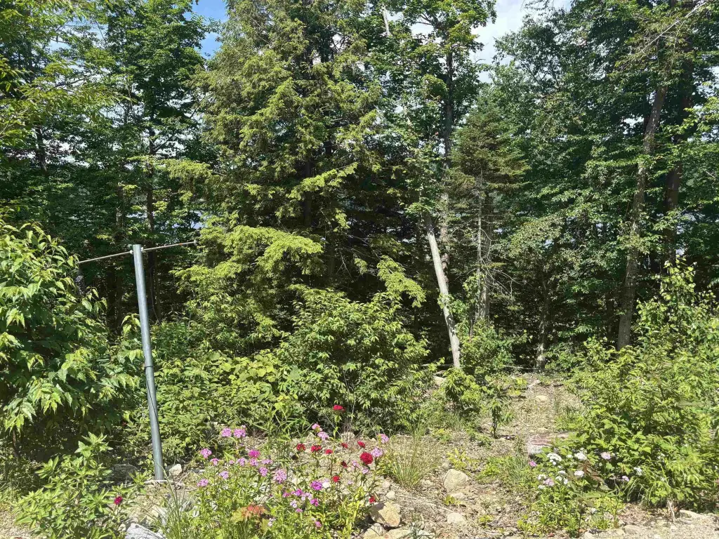 Picture 11