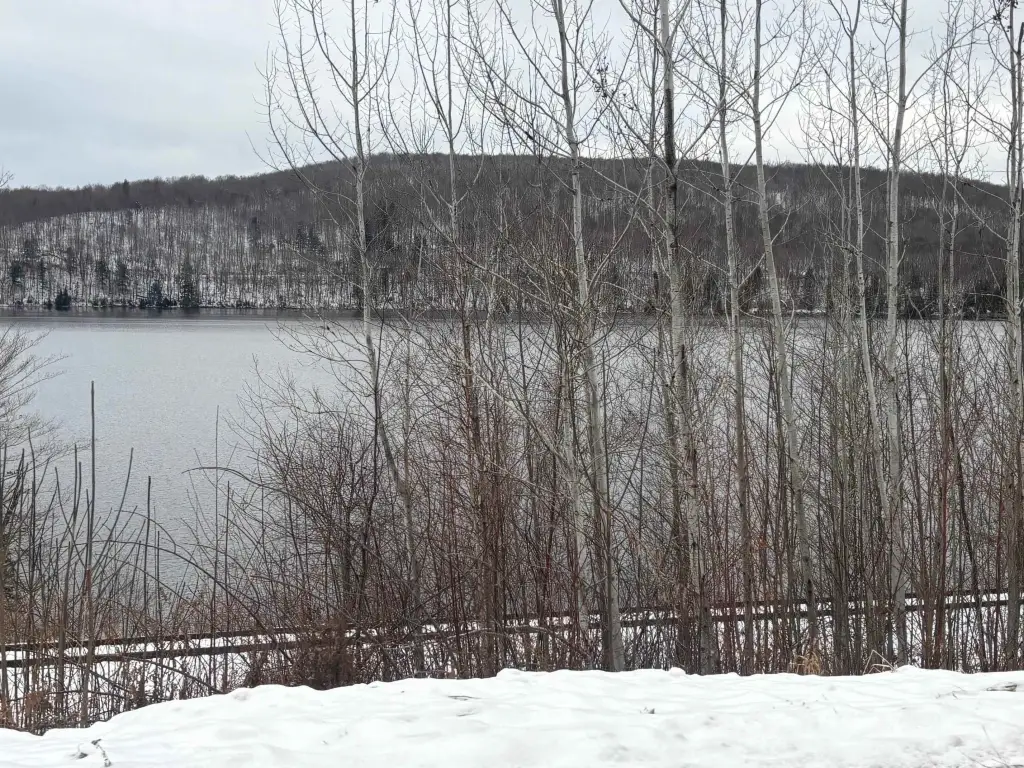 Picture 42