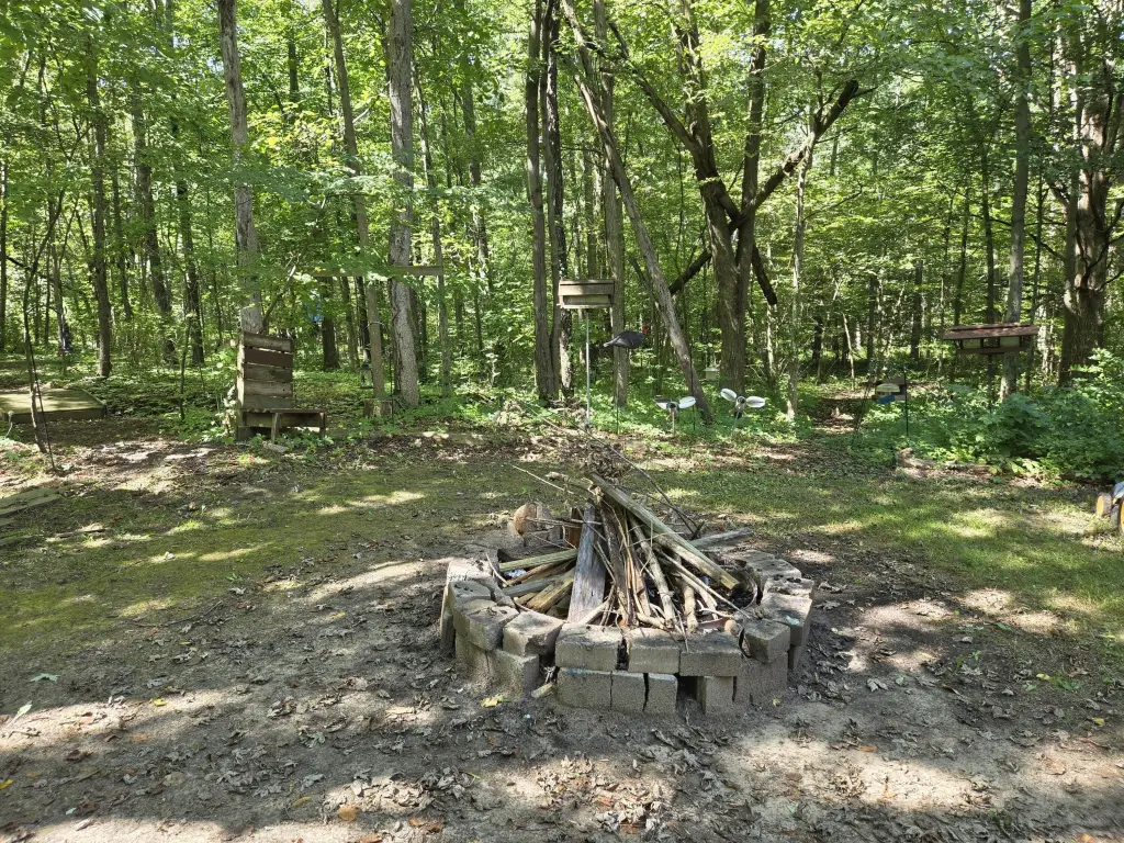 Picture 12