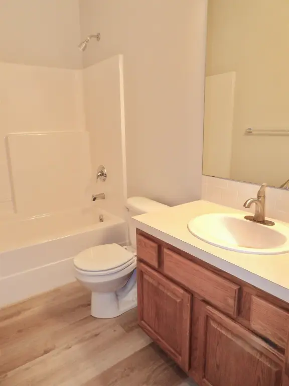 Picture 19
