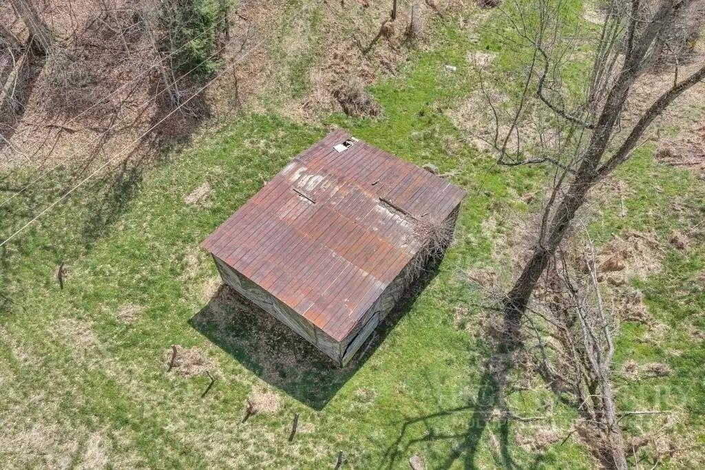 Picture 5